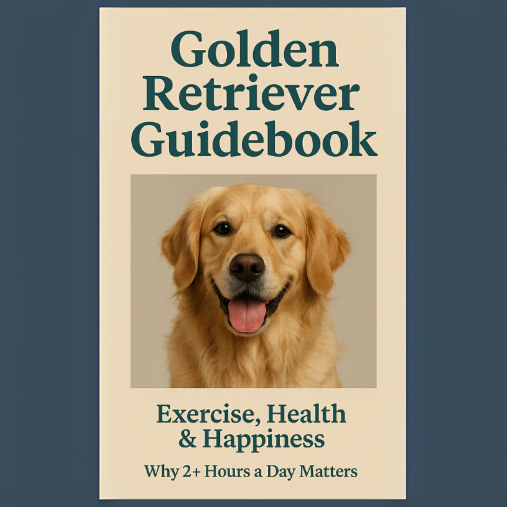 Ultimate Growth Ebook Bundle – E-Book, Infographic, Coloring Checklists & Wall Art (Digital Download)