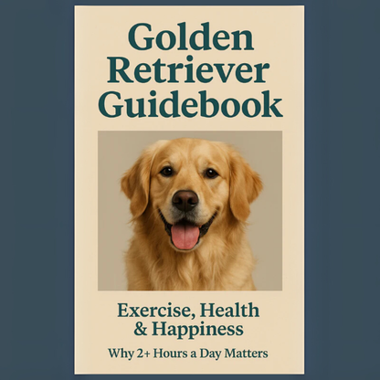 Ultimate Growth Ebook Bundle – E-Book, Infographic, Coloring Checklists & Wall Art (Digital Download)