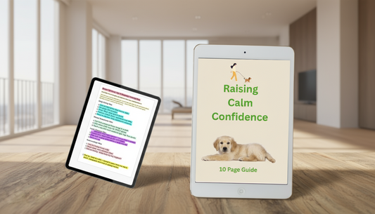 Raising Calm Confidence 10 Page-Guide
